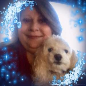 Meet your Posher, Donna